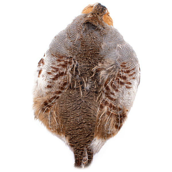 Wapsi Hungarian Partridge Skin