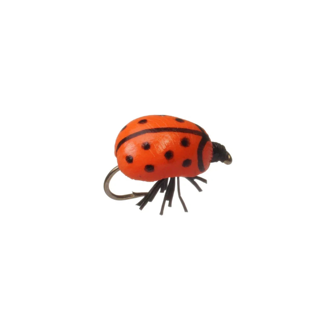 Lady Bug