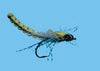 Dragon Fly