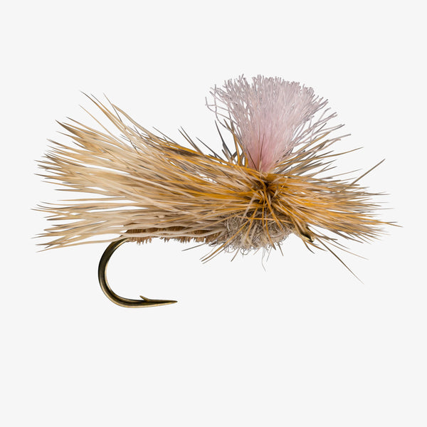 Bloom's Parachute Caddis