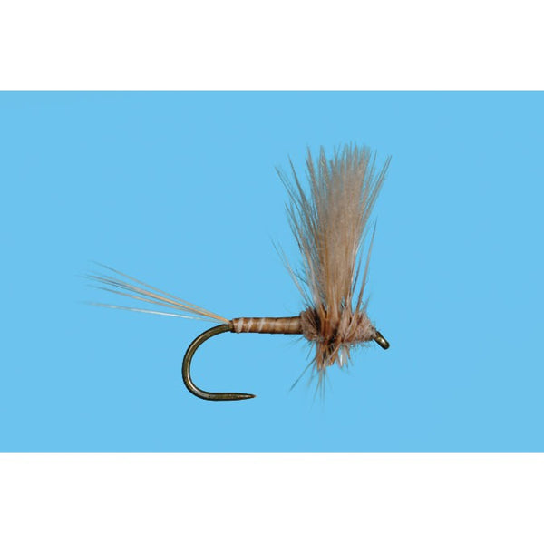 CDC Thorax March Brown