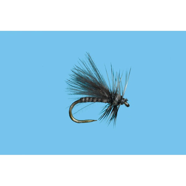 CDC Midge Adult Gray