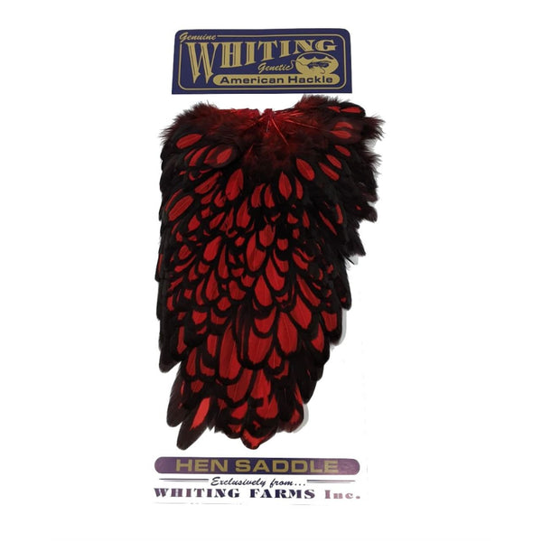 Whiting Farms American Saddle