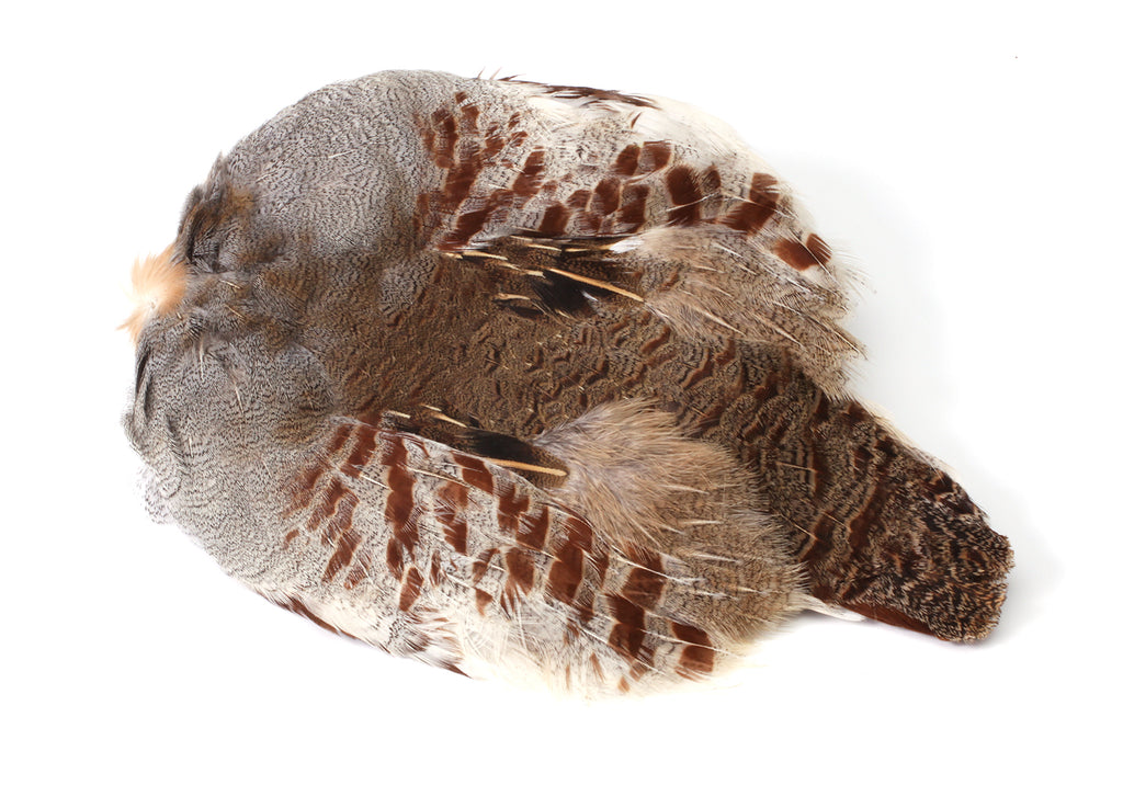 Hungarian Partridge Skin